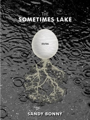 cover image of The Sometimes Lake